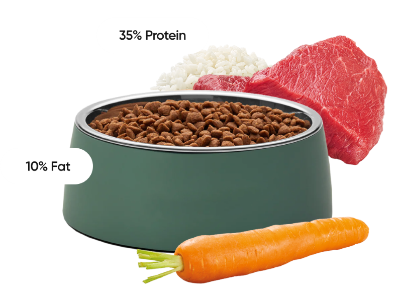 bowl food